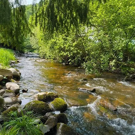 De La Weiss Σαλέ *